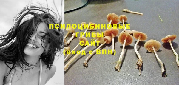 крисы Семикаракорск
