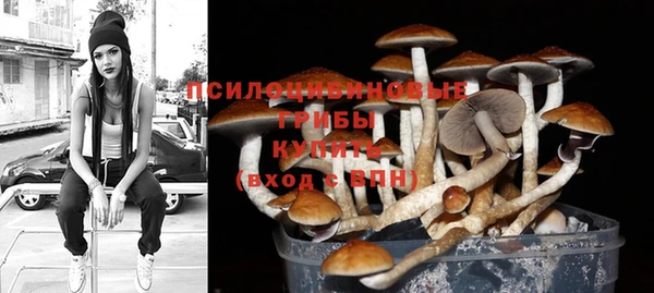 прущий лед Белокуриха